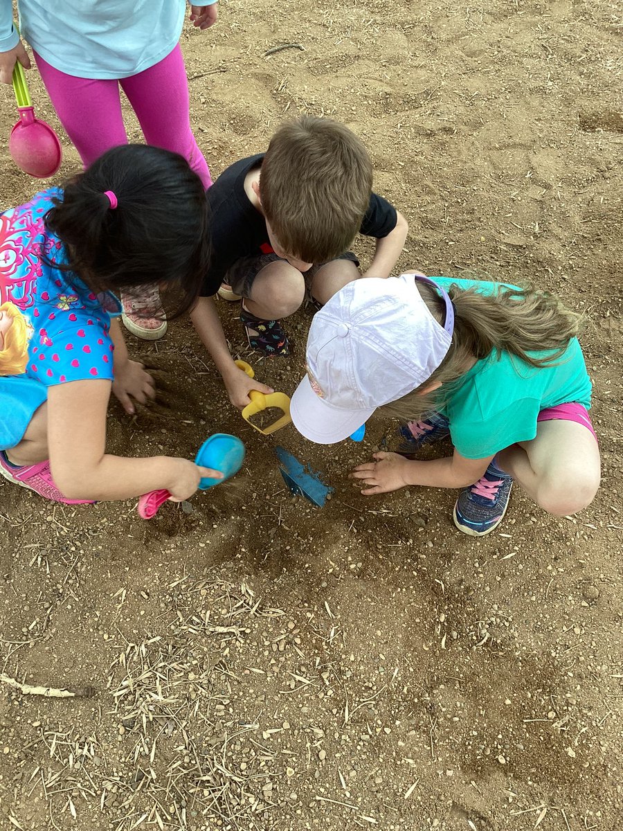 Hannah Delainey tweet media