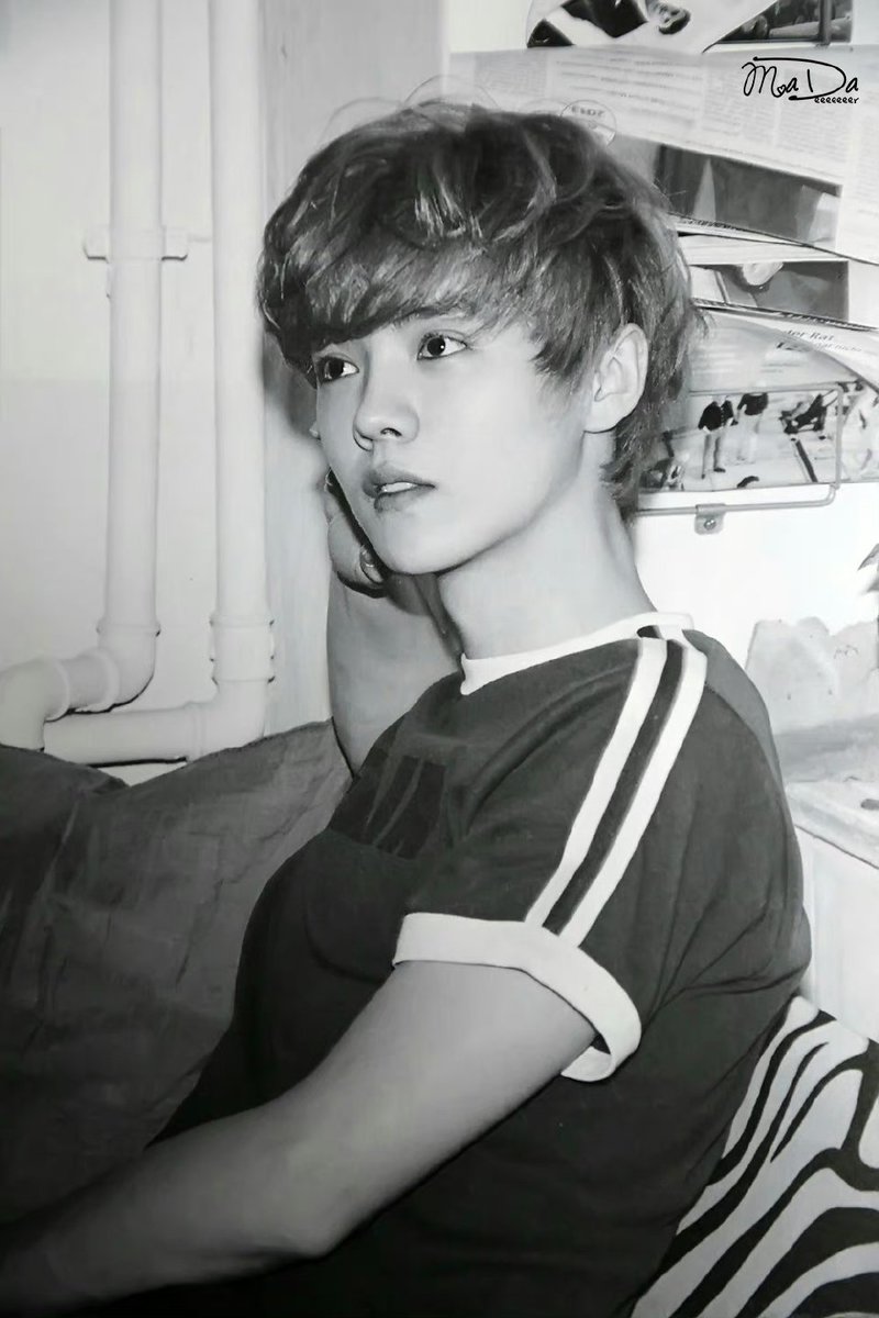 ailu5han's tweet image. My first love,My forever love.