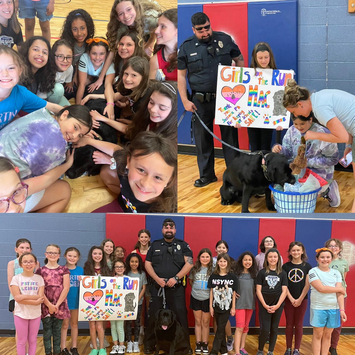 Amanda Lankarge tweet media