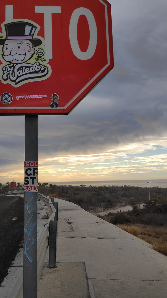 Spotted!
No bad days!