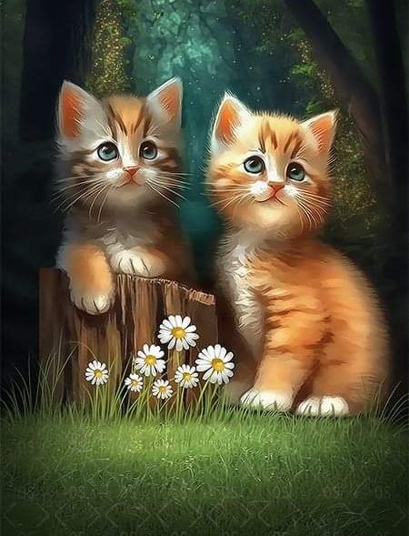 RobayoArenas's tweet photo. #NuevaFotoDePerfil
😍💓😺 https://t.co/3xSwGifRcn