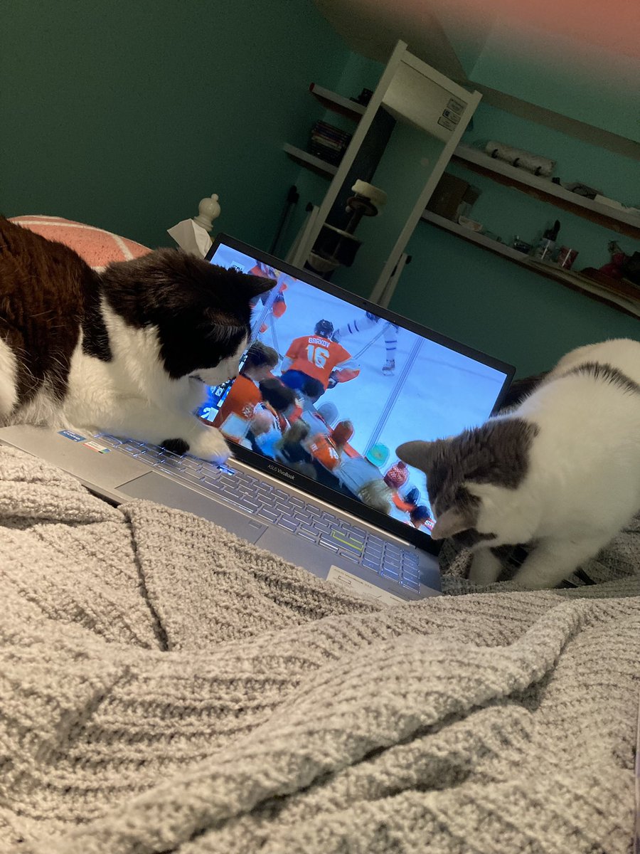 msullivan_15's tweet photo. @Steve_Dangle watching the stream with my cats! https://t.co/hsNZoWRSMo