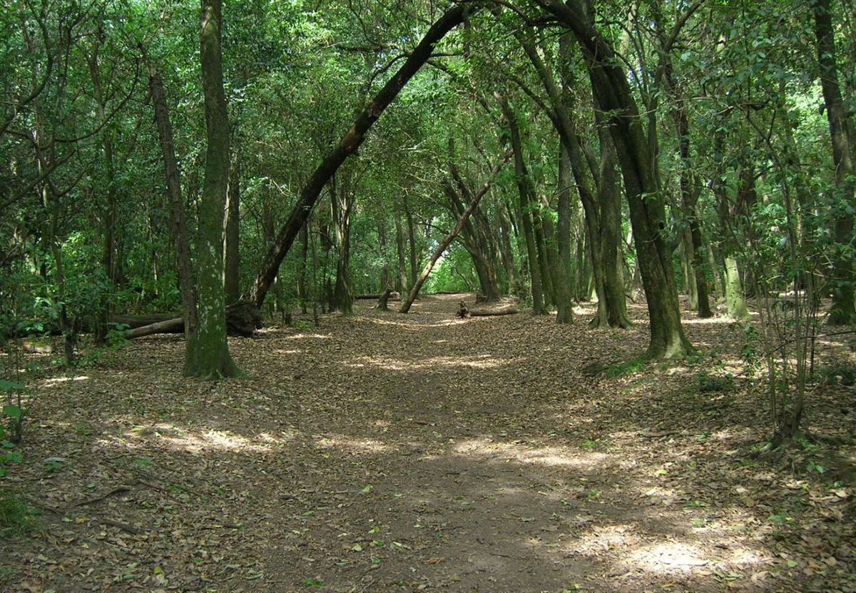 La Reserva Natural Santa Catalina ubicada en nuestro distrito fue designada en 2011 “Reserva Natural y Área Protegida” mediante la Ley provincial 14.294. Esta normativa permite la instrumentación de medidas necesarias para proteger su valor ecosistémico.