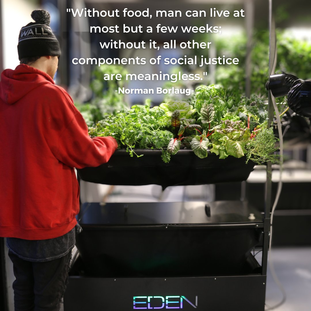 eden_grow's tweet image. edengrowsystems.com

#foodsecurity #sustainablefarming #weatherchanges #hydroponics #freshproduce #innovativetechnology #resilientfoodsystems #foodshortages #climatechangeadaptation #agriculture #localfood #sustainability