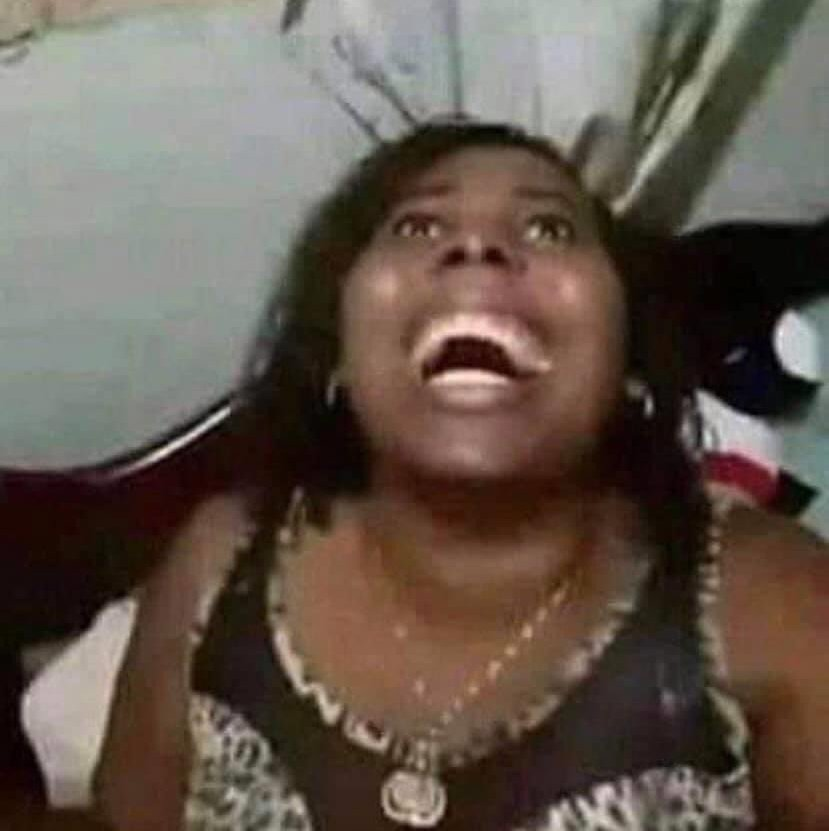 beyhivecombr's tweet image. 