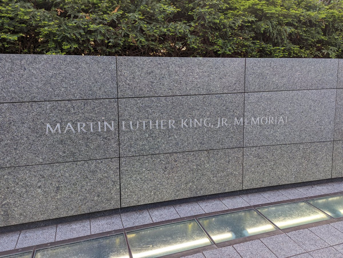 Jarrod Mulheman tweet media