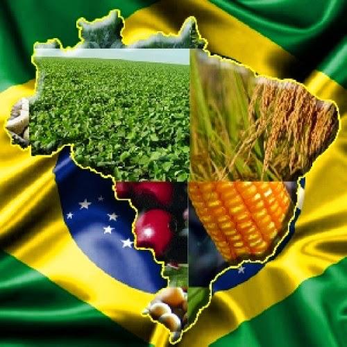 ViniciusMidlej_'s tweet photo. #Agro
Respeitem que contribui com o desenvolvimento do Brasil. Com quem gera emprego, renda e riqueza.
#AgroForte #AgroUnido 🇧🇷🇧🇷🇧🇷 https://t.co/wHRfnTw7p3