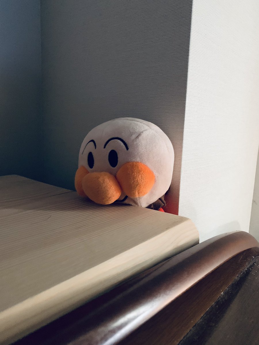 朝起きたらこうなっててビクッとした。 https://t.co/KJWpEYYKMV