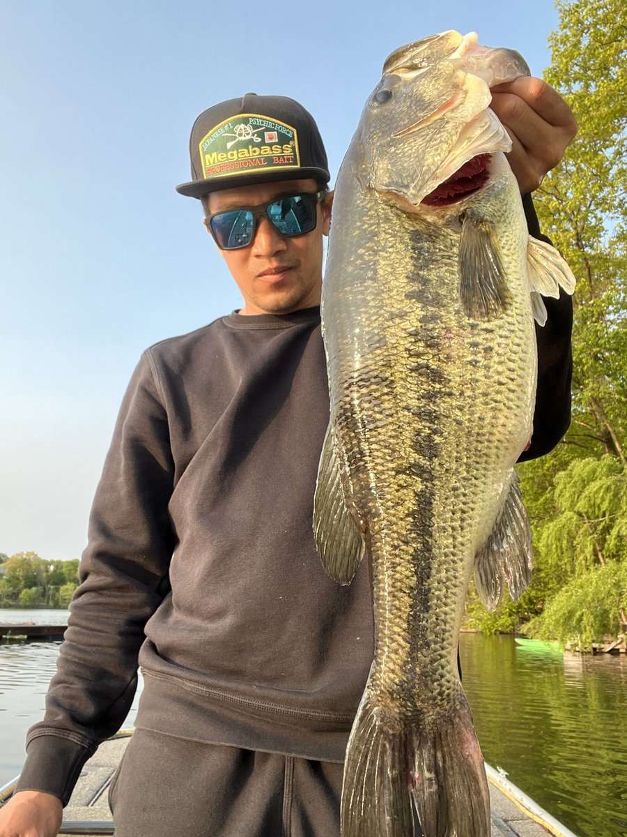 Love #rippinlips 😂 NY biggin . My favorite time of the year to wack em. She was a fatty , Go outside 💯💪🏽   #iloveNY #bassfishing #bassmasters #megabass #shimano #outdoorlife #aftco #costasunglasses #wootungton #largemouthbass #vevefam