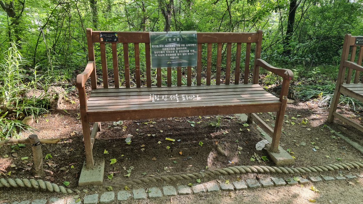 힐링 인 서울 포레스트 (Healing in Seoul Forest) tweet media