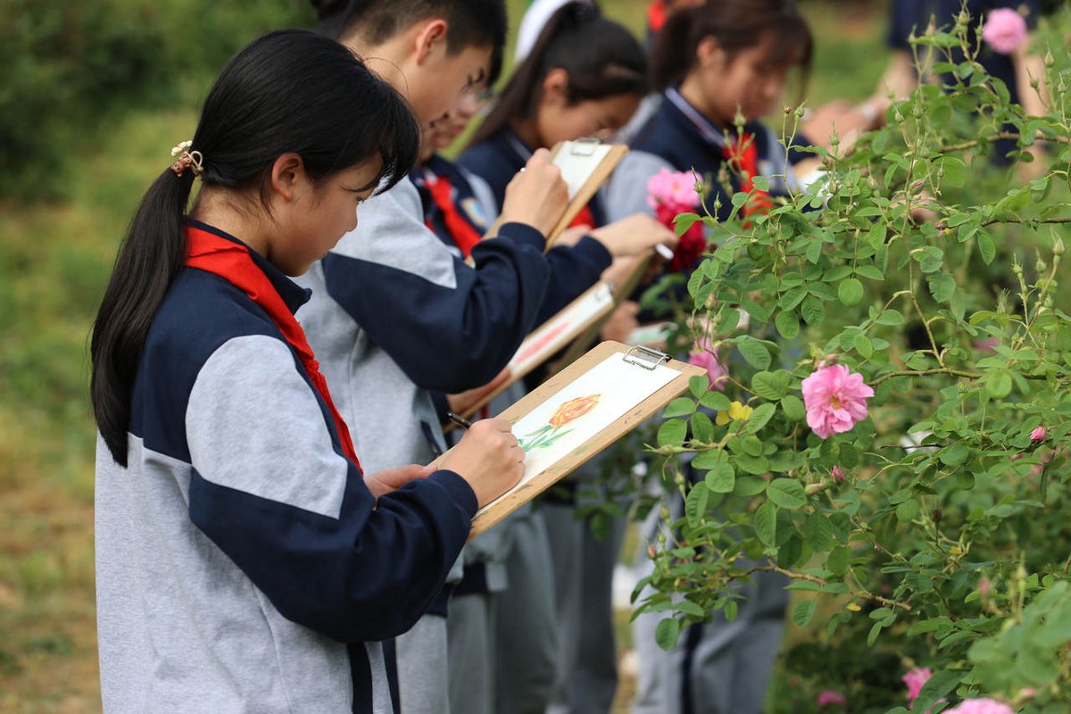 i_wuxing's tweet photo. 🌹🎨#Portraying and #sketching a rosy spring scene in the flower sea. Let’s appreciate the charming #rose garden with students in #Wuxing Daixi Town!🪴👏 https://t.co/4RxjvnJYqf