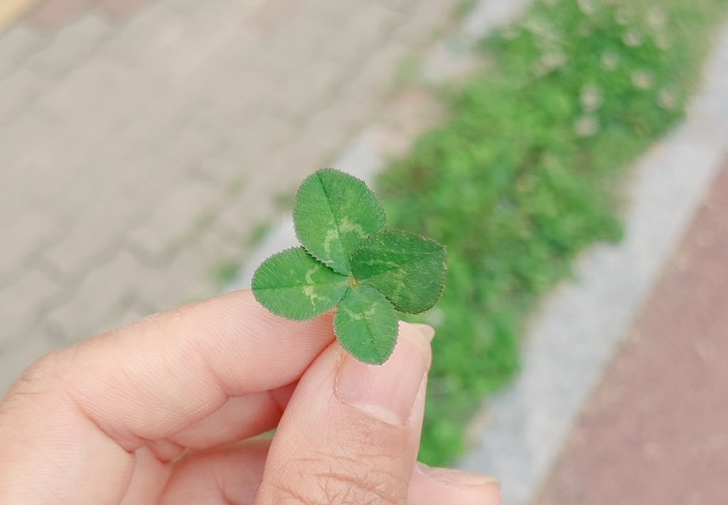 출근길 찾은 행운을나눠드려요