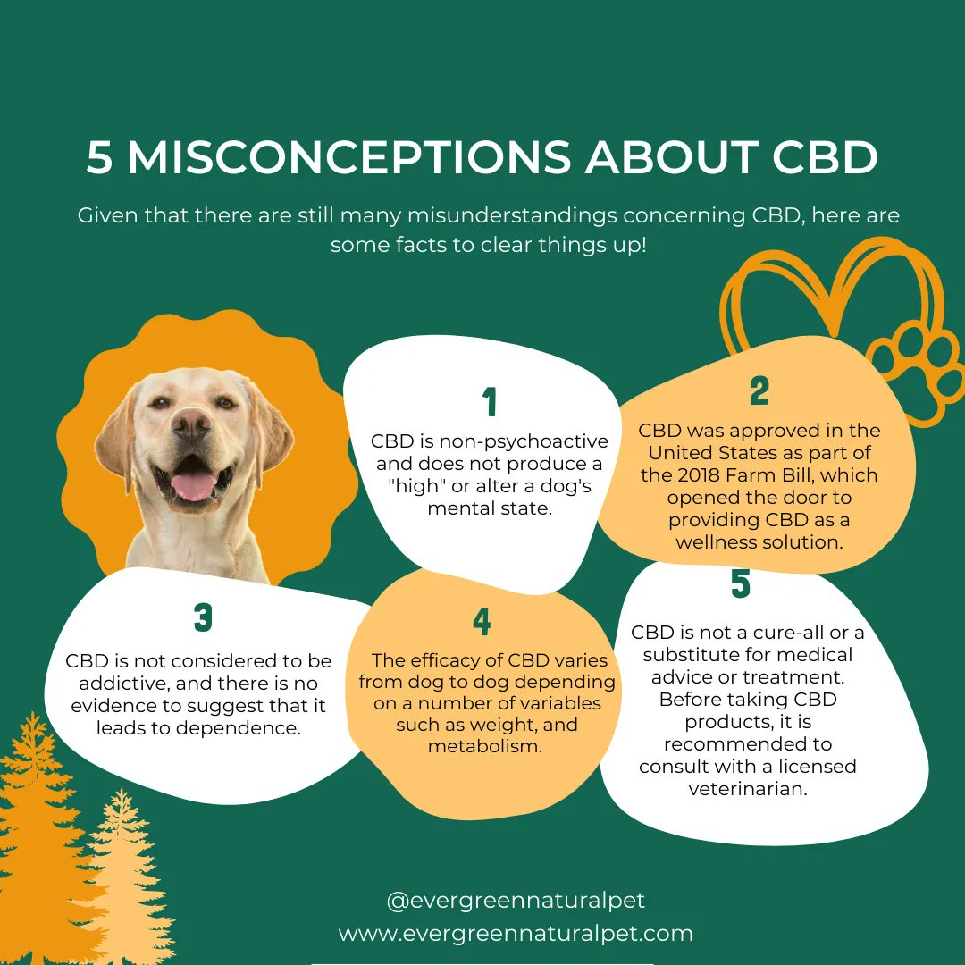 There are so many misconceptions out there about CBD for dogs! Well, we're here to set the record straight and show you that CBD for dogs can actually be a pawsome way to help your pup live their best life. 🐶 

#PetWellness #DogHealth #CBDforPets #NaturalRemedies #CBDBenefits