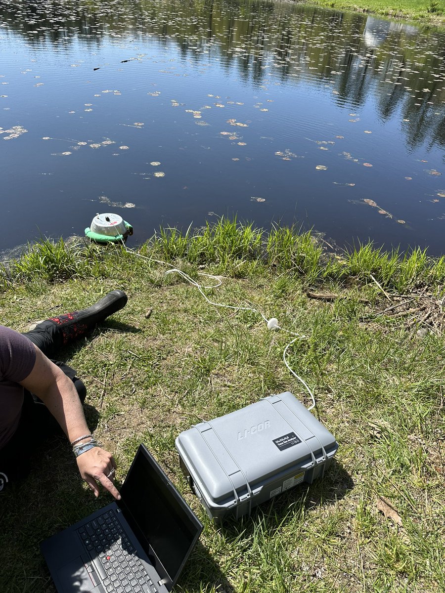 Cherry Jones tweet media