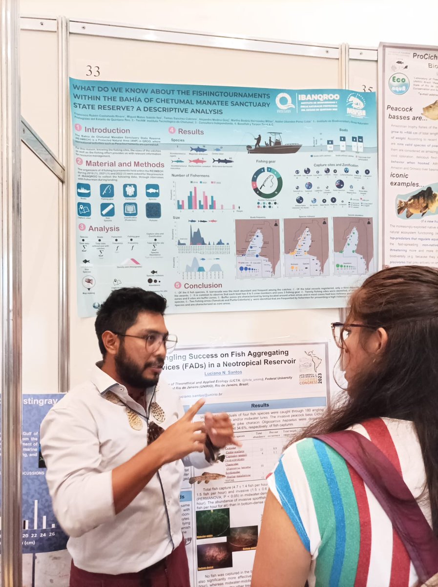 IBANQROO tweet media