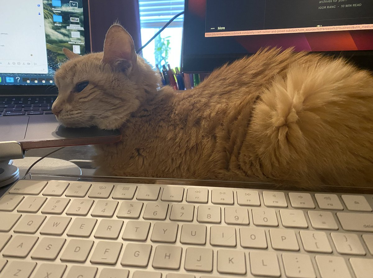 DallasAdGrad's tweet photo. I told my boss I needed to take the rest of the day and he basically said no. He follows me on Twitter. Tell him he's wrong. https://t.co/Hy1WxfznLA