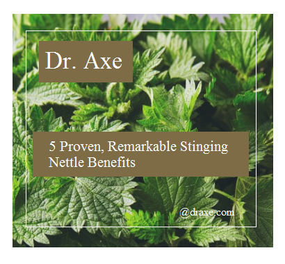 draxe.com/nutrition/stin…
#draxe #stingingnettle #icetea #joints #hayfever #nettletea #vitaminA #vitaminC #protein #iron #bleeding #eczema #wounds #kdneys #urinarytract #foodismedicine #healthyliving