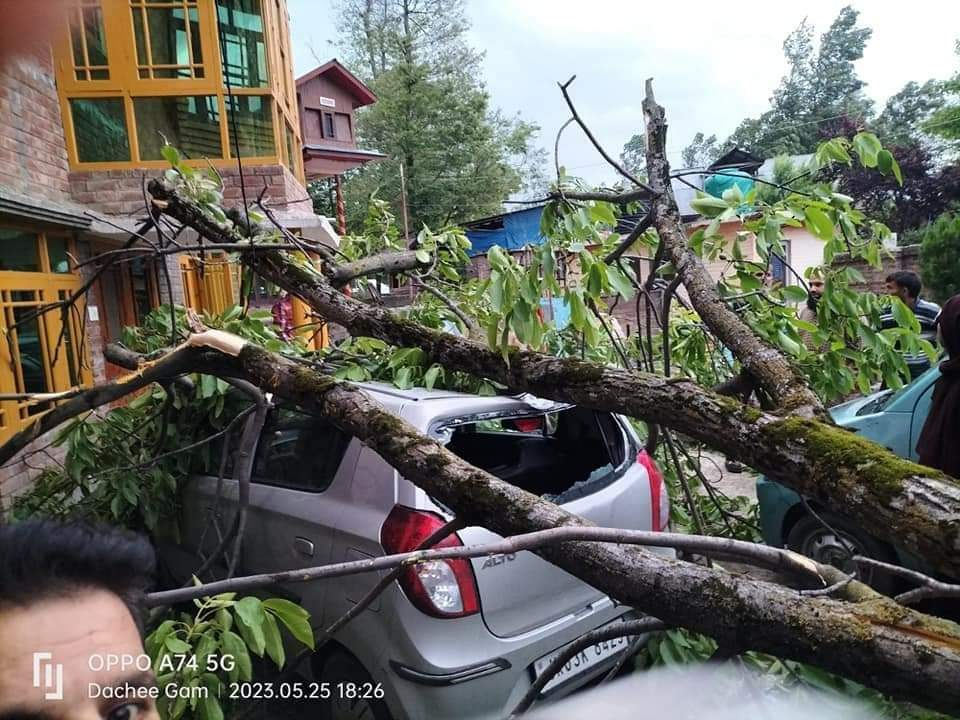#InPictures | Hailstrom, heavy winds create damages crops, properties in Kashmir. 
Vehciles suffered damages after walnut trees fell on vehciles in Burdoo Pahalgam south #Kashmir.