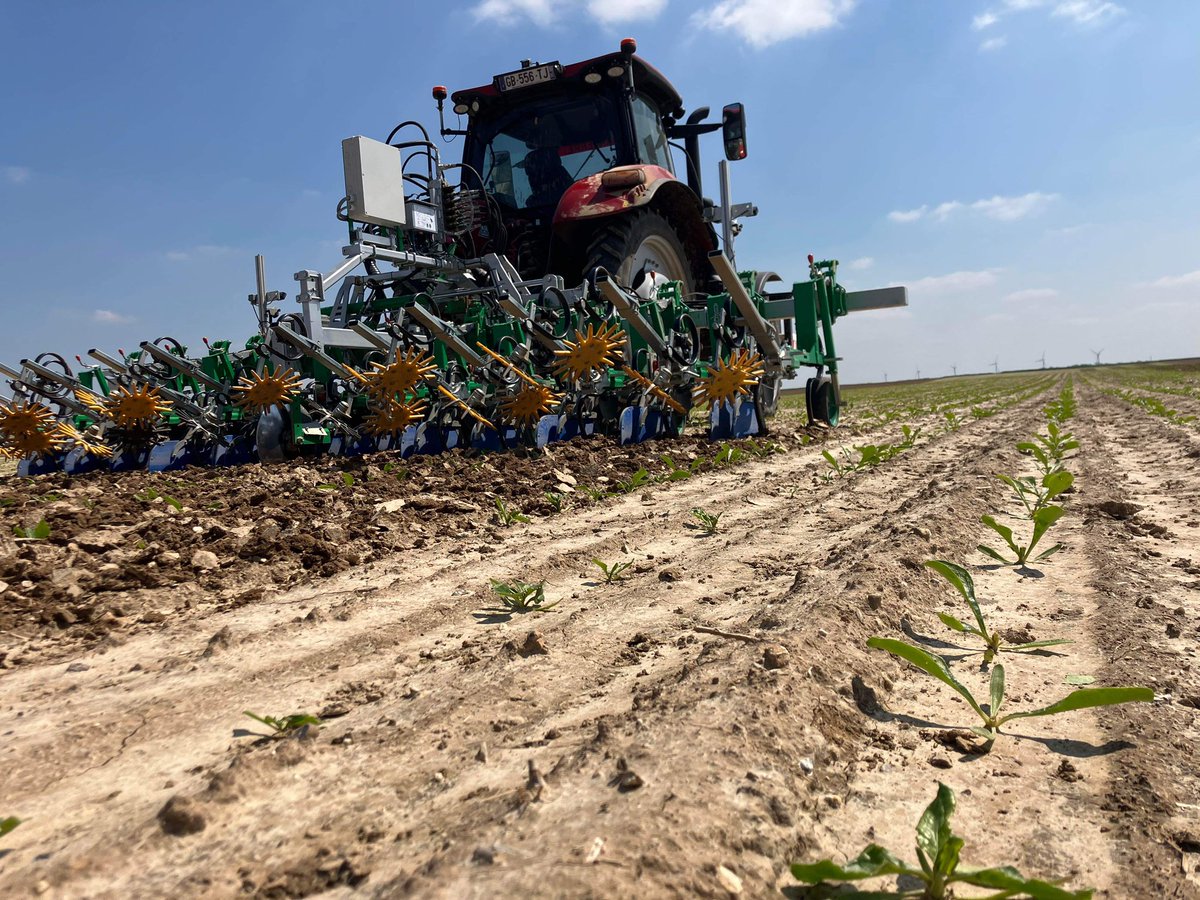 #JeudiPhoto enfiiiiiiiiiiin le soleil ! ☀️

La saison des fourrages a commencé !  🌱
Place au fanage et à l‘enrubannage pour la future alimentation des bêtes 🐮

Et dans les champs, les agri binent pour garder les cultures toutes propres ! 🚜