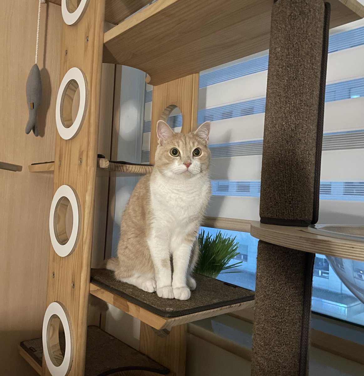 뭘 광고하는 지는 모르겠지만 
아무튼 모델 같다