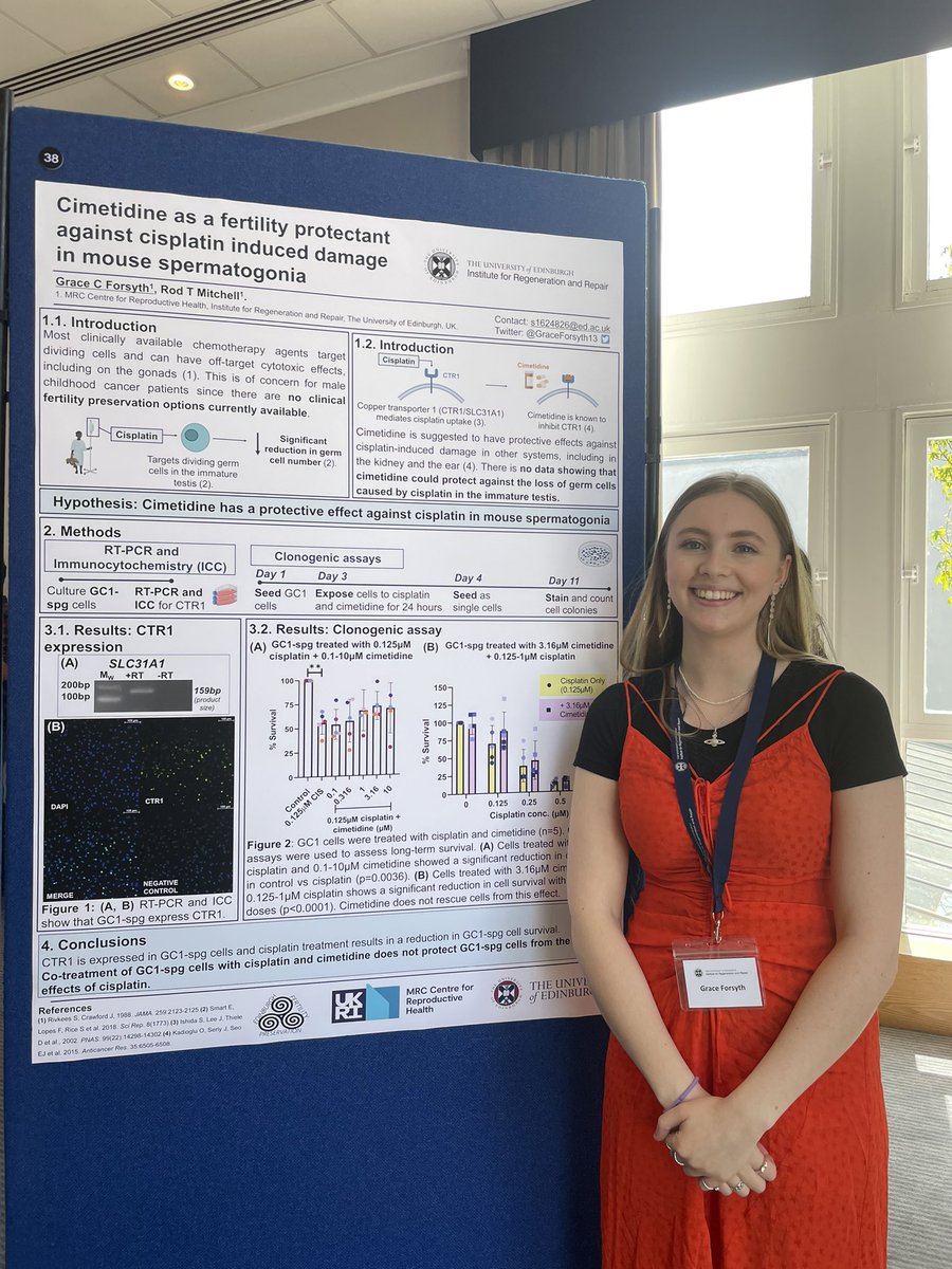 A great day at the @EdinUni_IRR launch symposium, presenting my poster investigating whether we can protect the germ cells in the immature testis from chemotherapy induced damage.  🔬👩🏼‍🔬

#fertilitypreservation #childhoodcancer 
#reprorocks