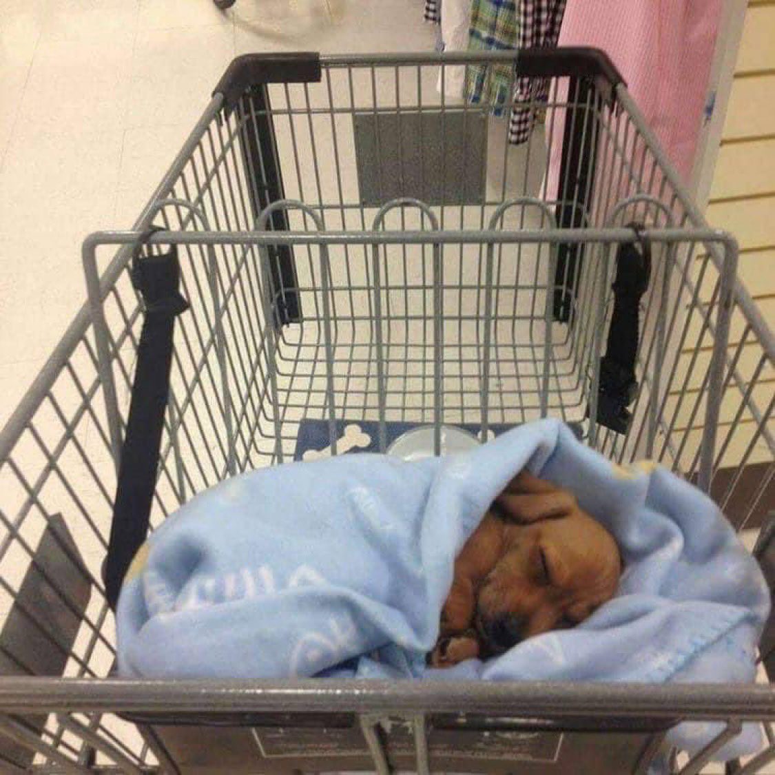 twaniimals's tweet photo. https://t.co/Xz88qQ8s9s