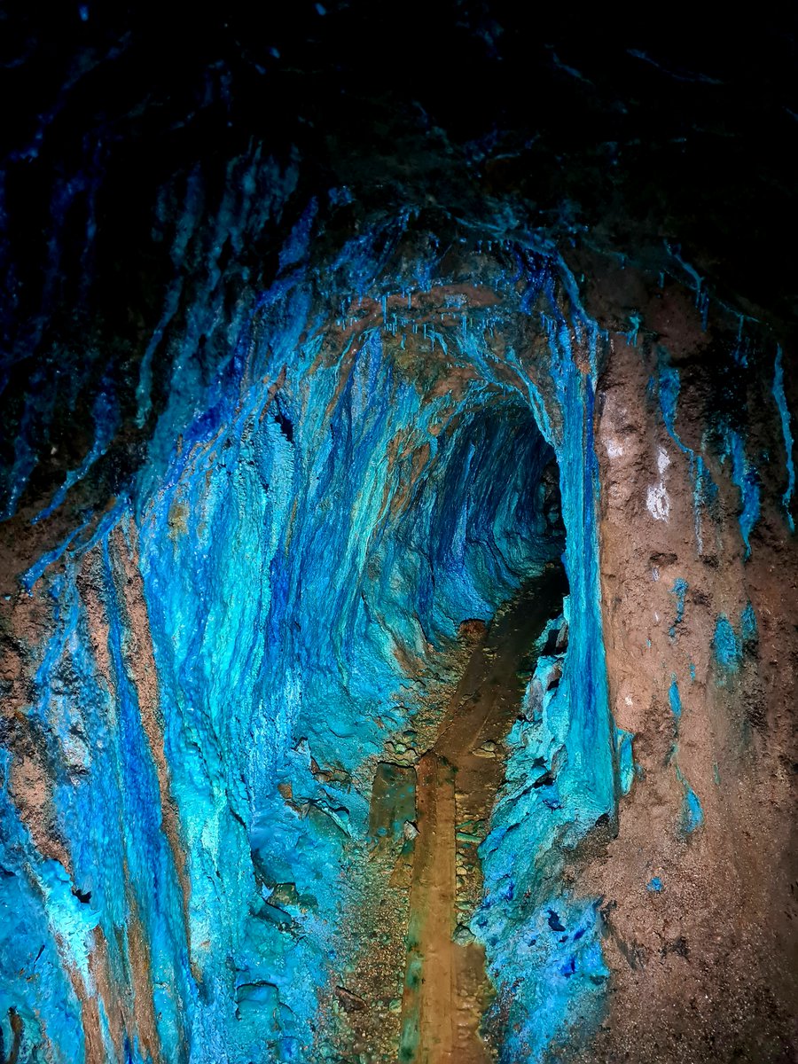 Bob Stone tweet media