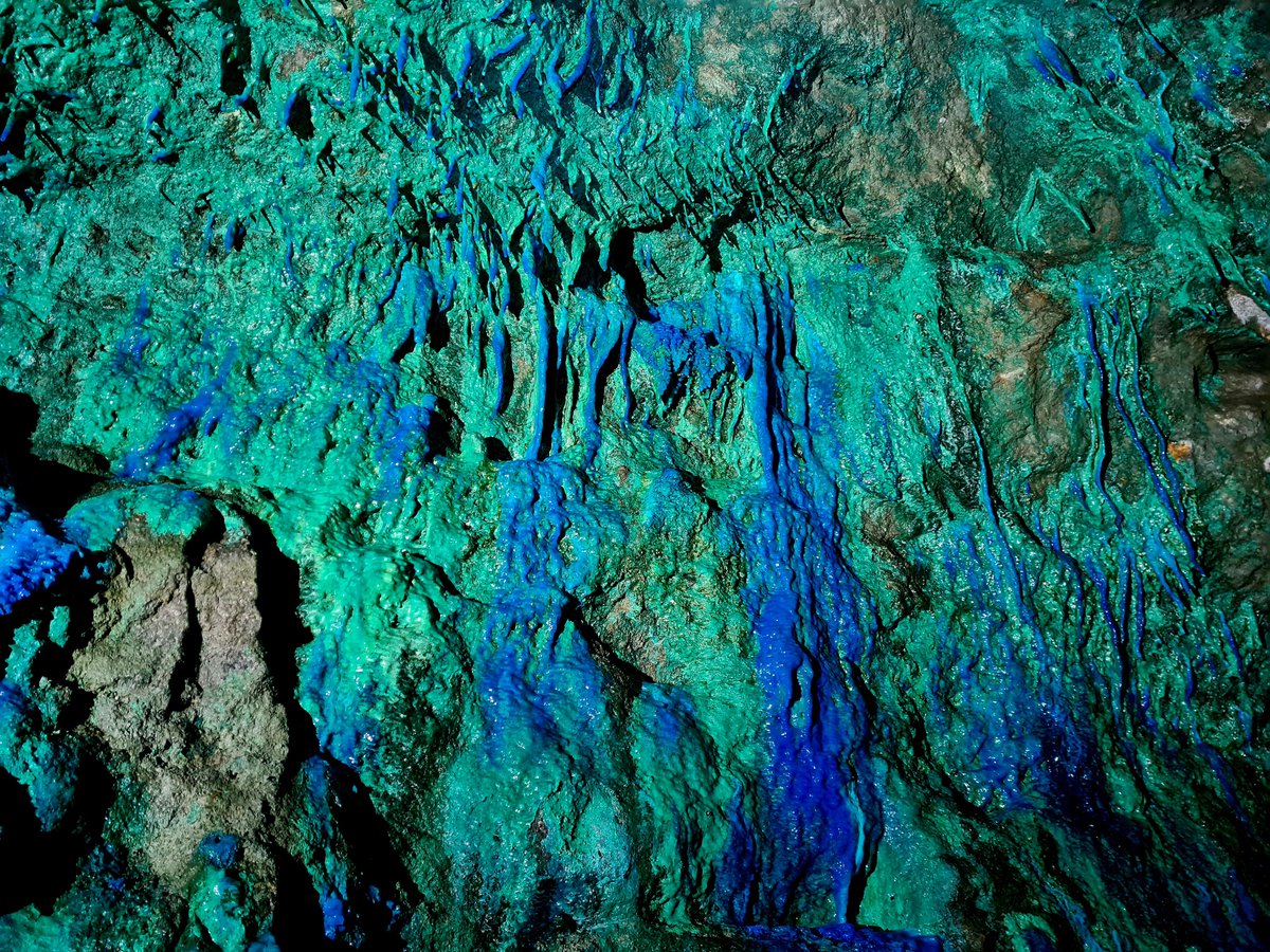 Bob Stone tweet media