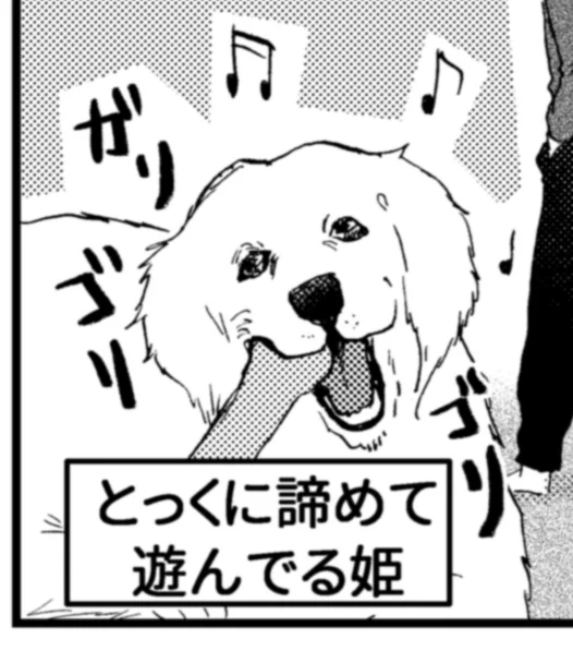 愛
