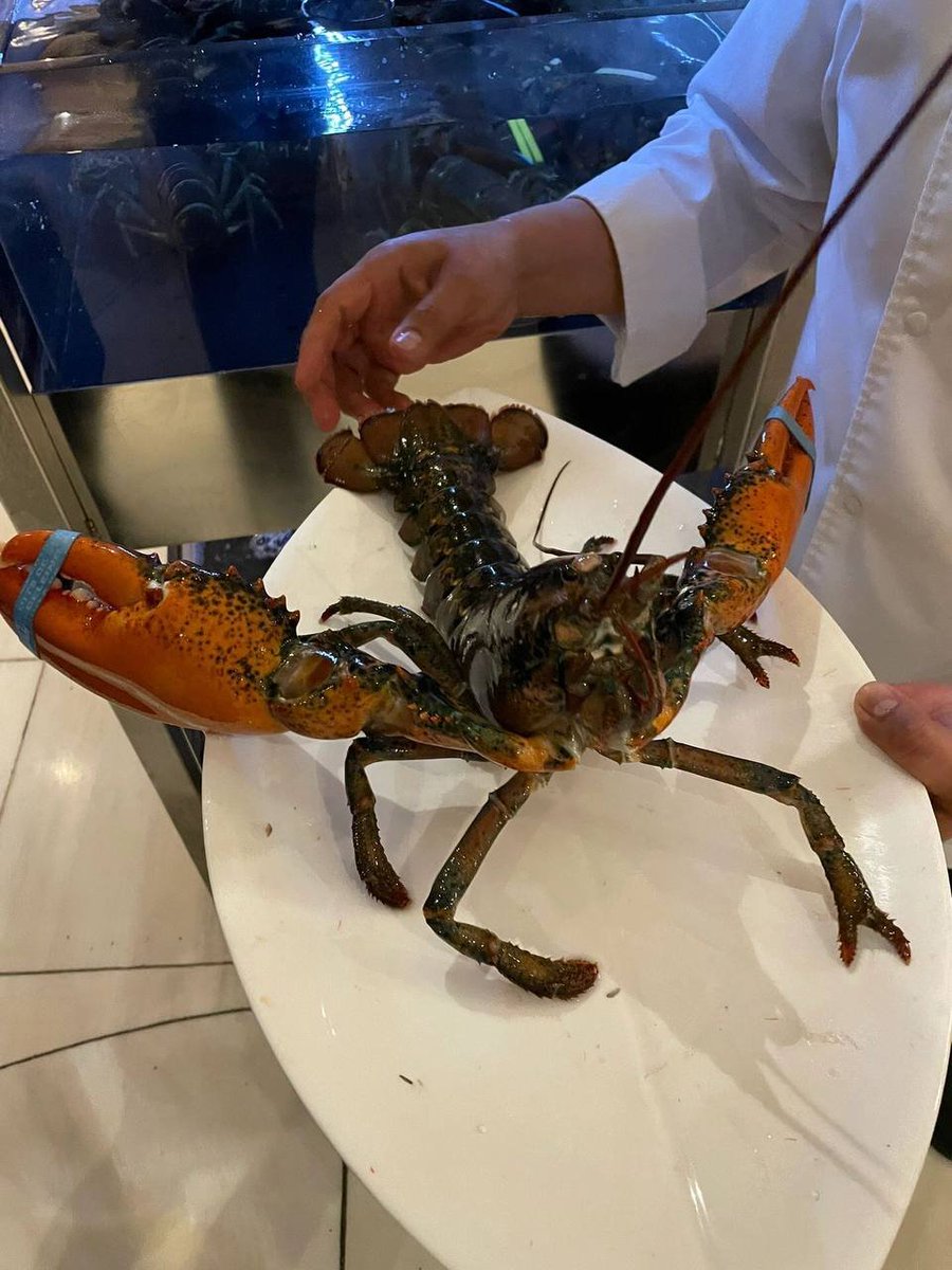 MeshooNon's tweet image. Today, I chose the fresh lobster for lunch. The lobster is fresh, so the meat is soft and delicious.🦐🦐