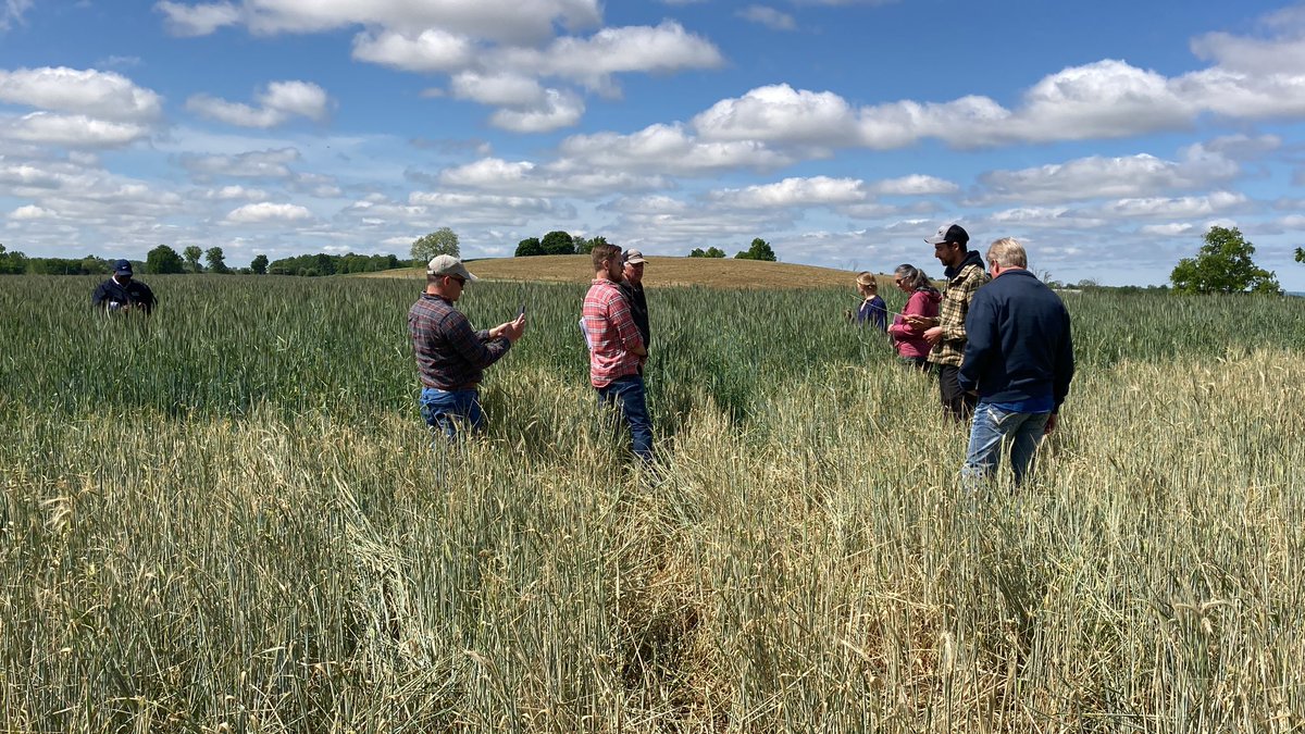 Jodi Letham tweet media