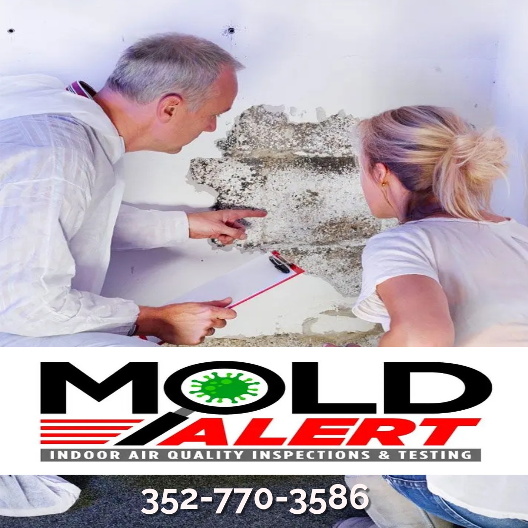 MoldAlertFL's tweet image. Did you know if you have mold and you want to DIY you don't have to hire a remediator? With our step by step protocol reports written in detail you can get the job done on your own time. Call us now to schedule your mold test to find out how!