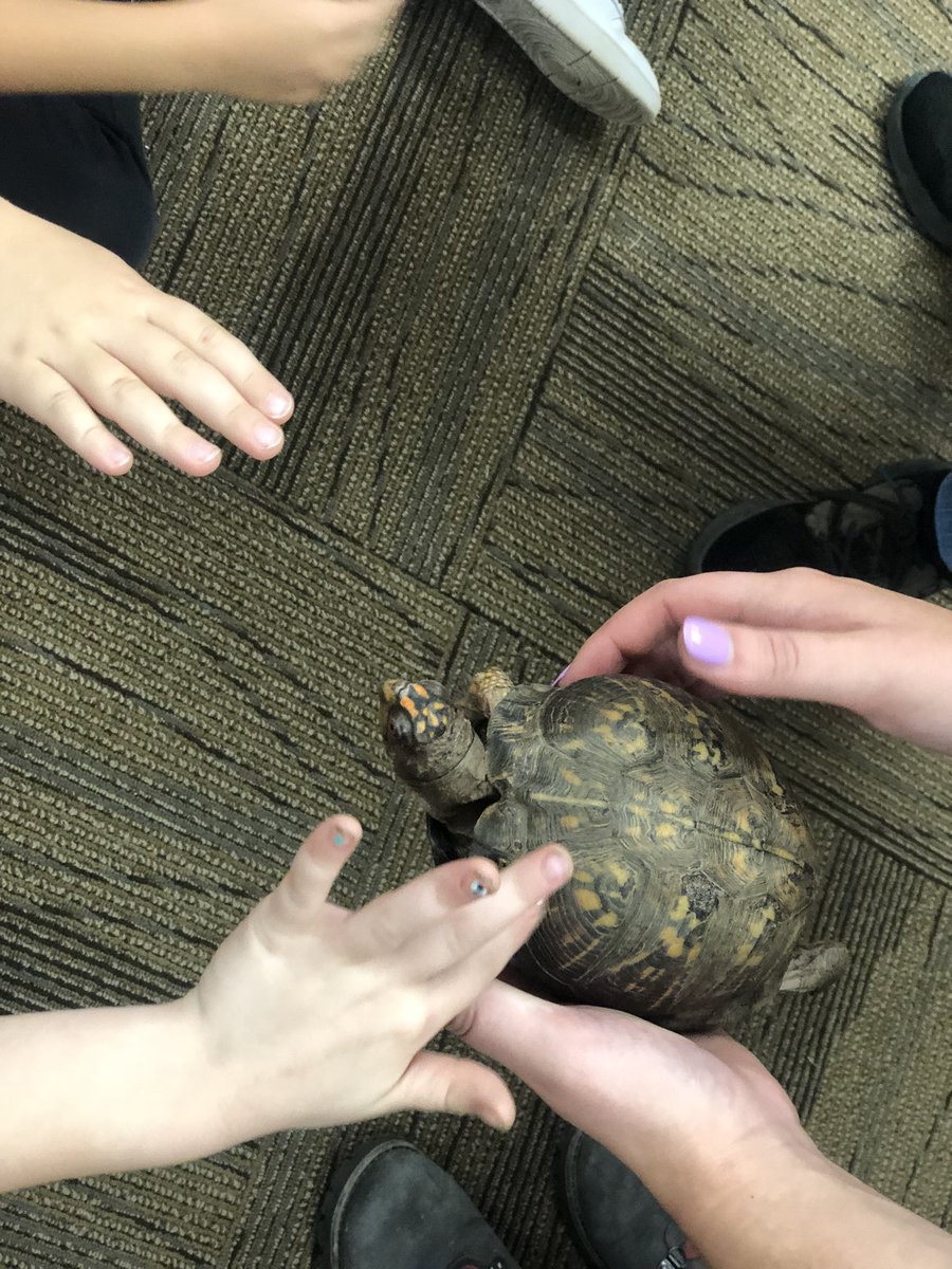 Darryl Robbins 🇨🇦🇺🇸 tweet media