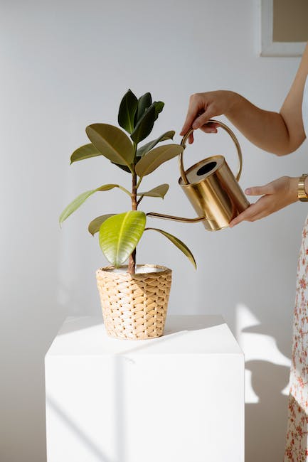 How are your plant babies doing? Do they need a little drink? 💦 🪴 
.
.
#steinflorist #steinyourflorist #florist #flowershop #plants #houseplants #plantbabies #plantfriends #greenthumb #plantlover #plantstagram #rubbertree #rubberplant #wateryourplants #wetyourplants