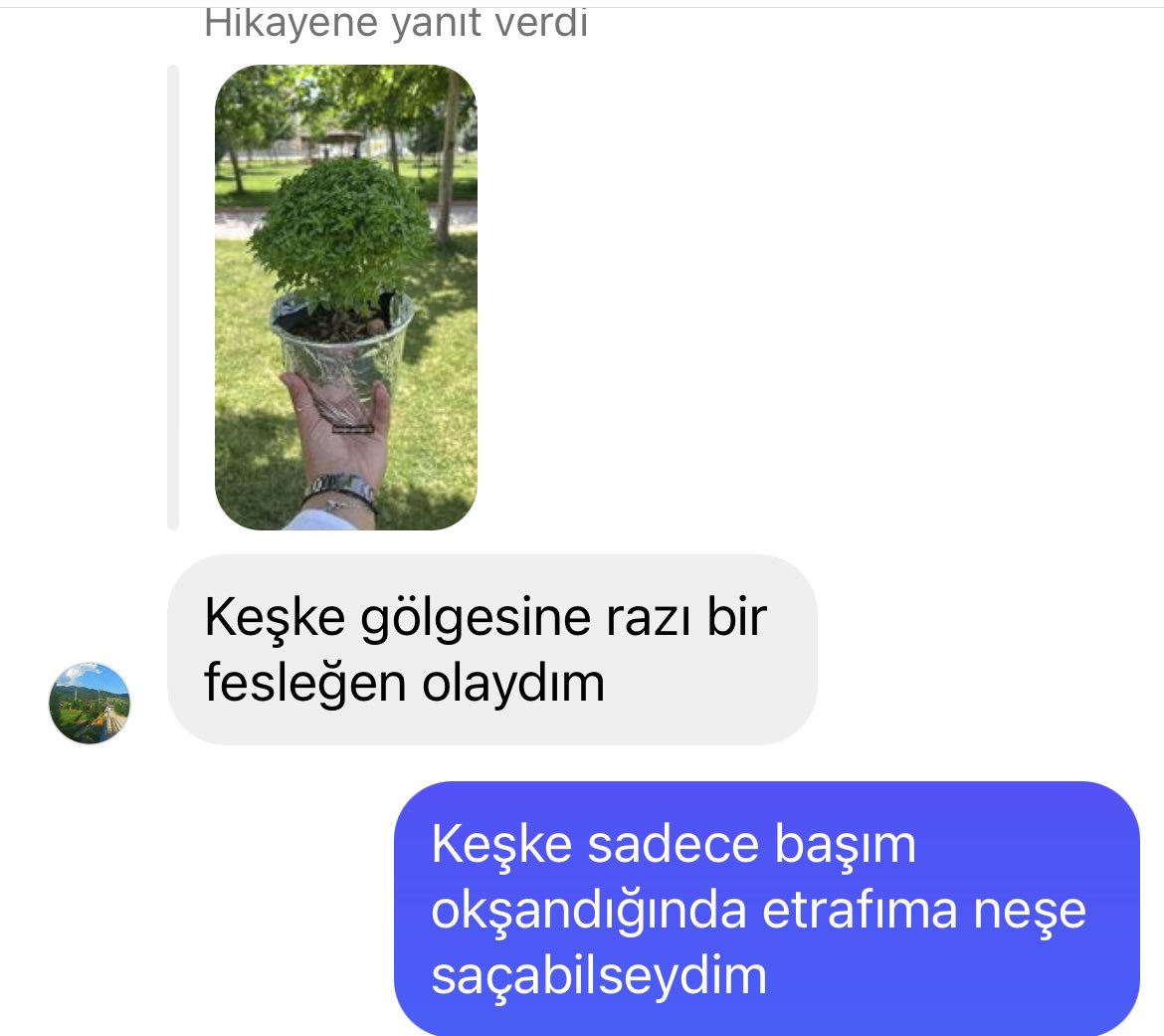 Fesleğen günlükleri..