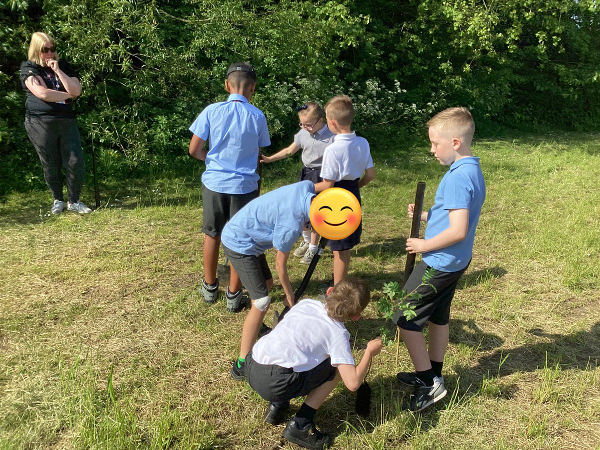 ctkrcps's tweet photo. Year 4 loved their planting session with Tim @royal_forestry today. We successfully planted a variety of different trees on the grounds, which will create a border for our eco garden #teachingtrees #LaudatoSi https://t.co/1T8nPvDzgB