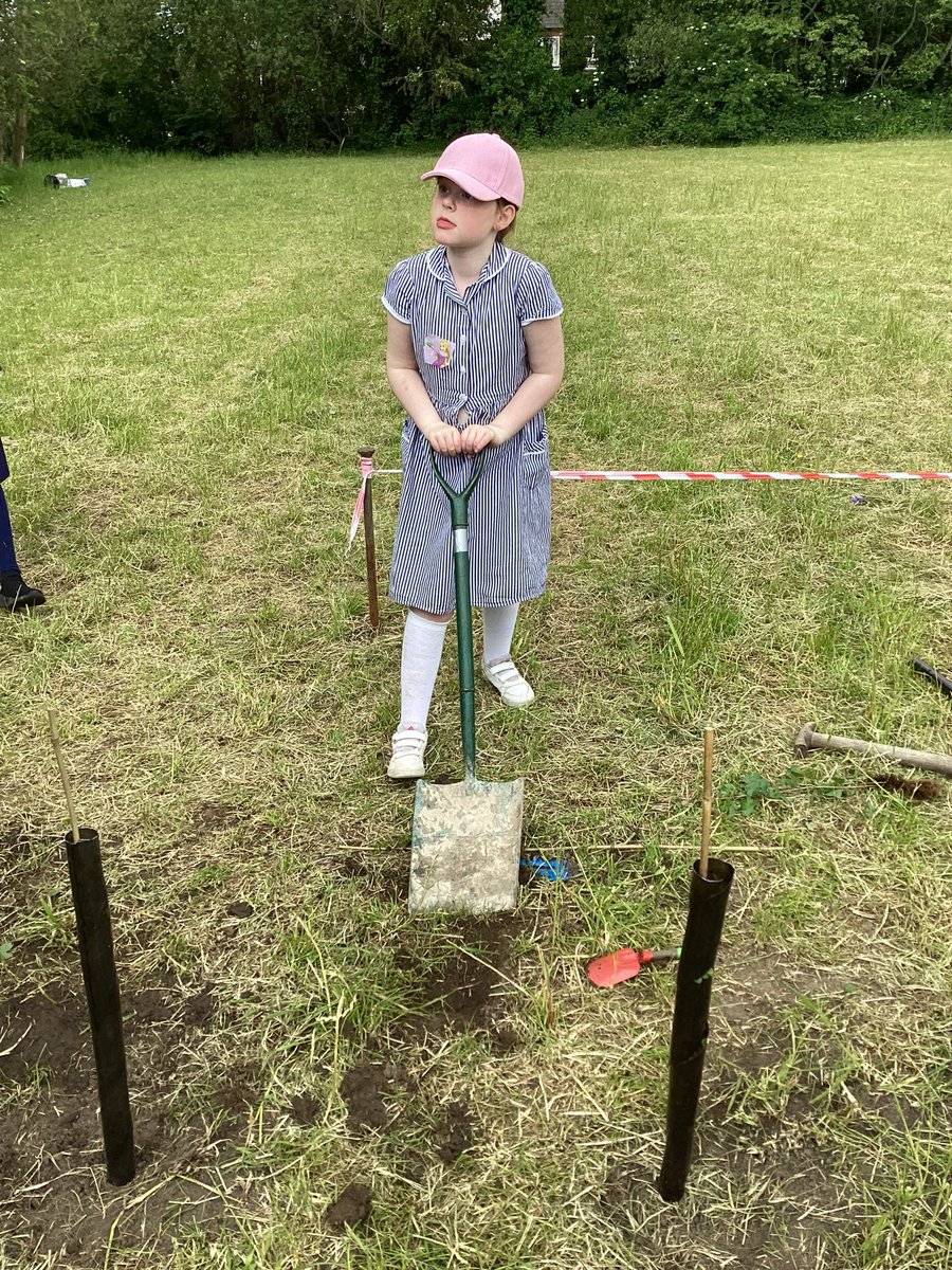ctkrcps's tweet photo. Year 4 loved their planting session with Tim @royal_forestry today. We successfully planted a variety of different trees on the grounds, which will create a border for our eco garden #teachingtrees #LaudatoSi https://t.co/1T8nPvDzgB