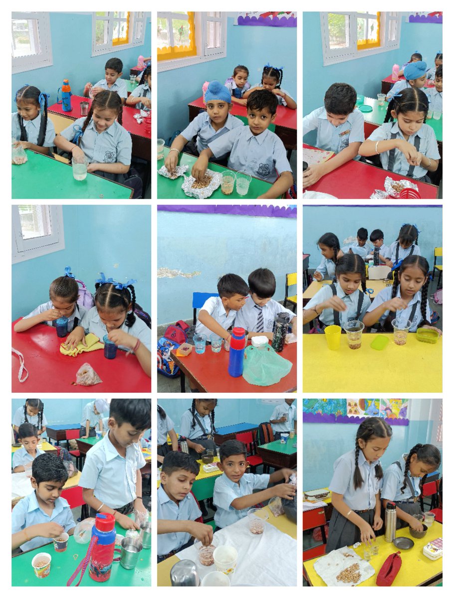 Students from grade IIB enjoying the activity how the level of water has risen up by putting different things in it. <a href="/KnpsIndia/">KNPS Phagwara India</a> <a href="/pkdhillon08/">ParamjeetKaurDhillon</a> <a href="/JyotiBh28005578/">Jyoti Bhardwaj</a> <a href="/KajalSh97224712/">Kajal Sharma</a>