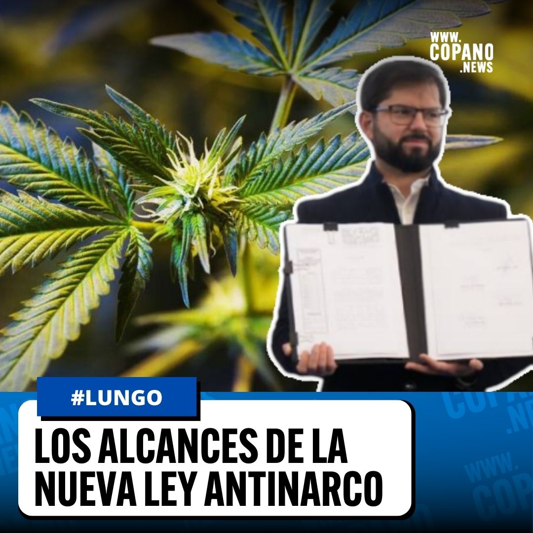 🟢 #ElPodcastDeCopano | La Ley Antinarco fue publicada en el Diario Oficial y sus alcances involucran al crimen organizado y a consumidores. El análisis con Mariana Pérez, presidenta de <a href="/movimental/">Cultiva Tus Derechos</a>.

📡 Escúchalo en Spotify (¡sígueme y activa la🔔!) ➡ sptfy.com/NBy6