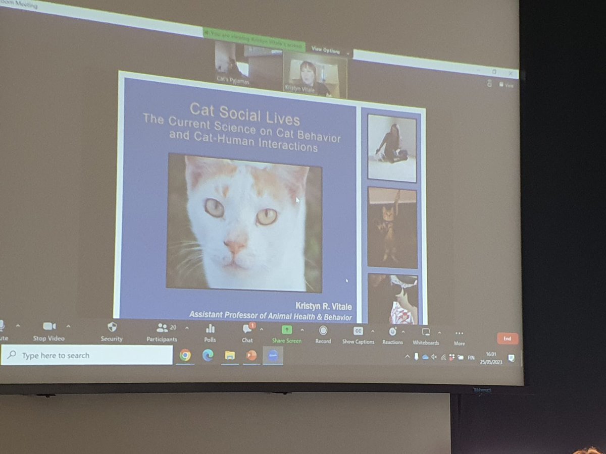 Our final speaker for today is Dr Kristyn Vital who talks about cat social behaviour and discusses how it’s poorly understood. Fun fact: cats can adapt to a variety of social environments from our homes to the streets and cat cafes. #catconference