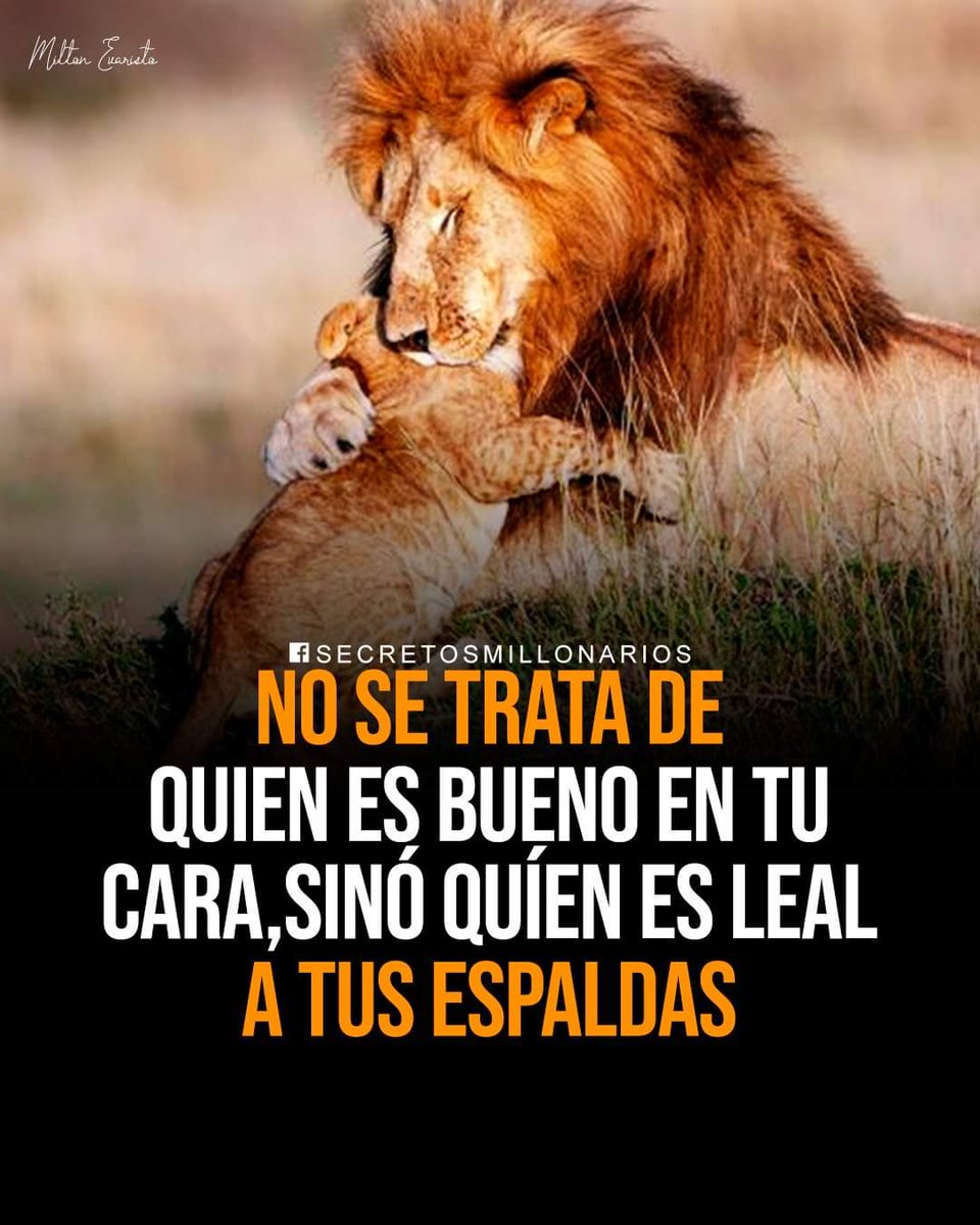 Literat (@literartee) on Twitter photo 