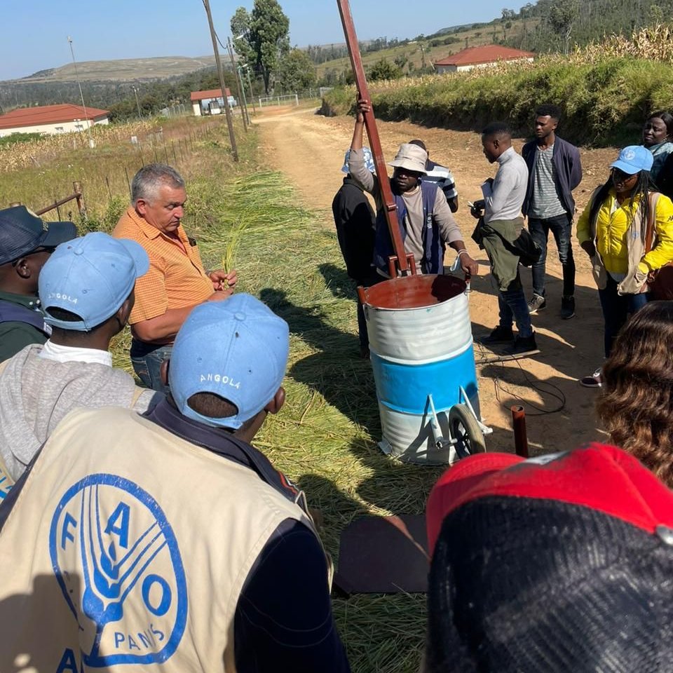 FAOAngola's tweet image. Hoje terminamos o módulo de bovinicultura, com uma prática de enfardamento de feno, pelo Prof Reinaldo Calvo do Instituto Politécnico Huíla #IPH, dentro da Formação de Escolas de Campo Agropastoris #ECAP, inserida na componente @FAOAngola no @fresan_angola com fundos @UEemAngola.