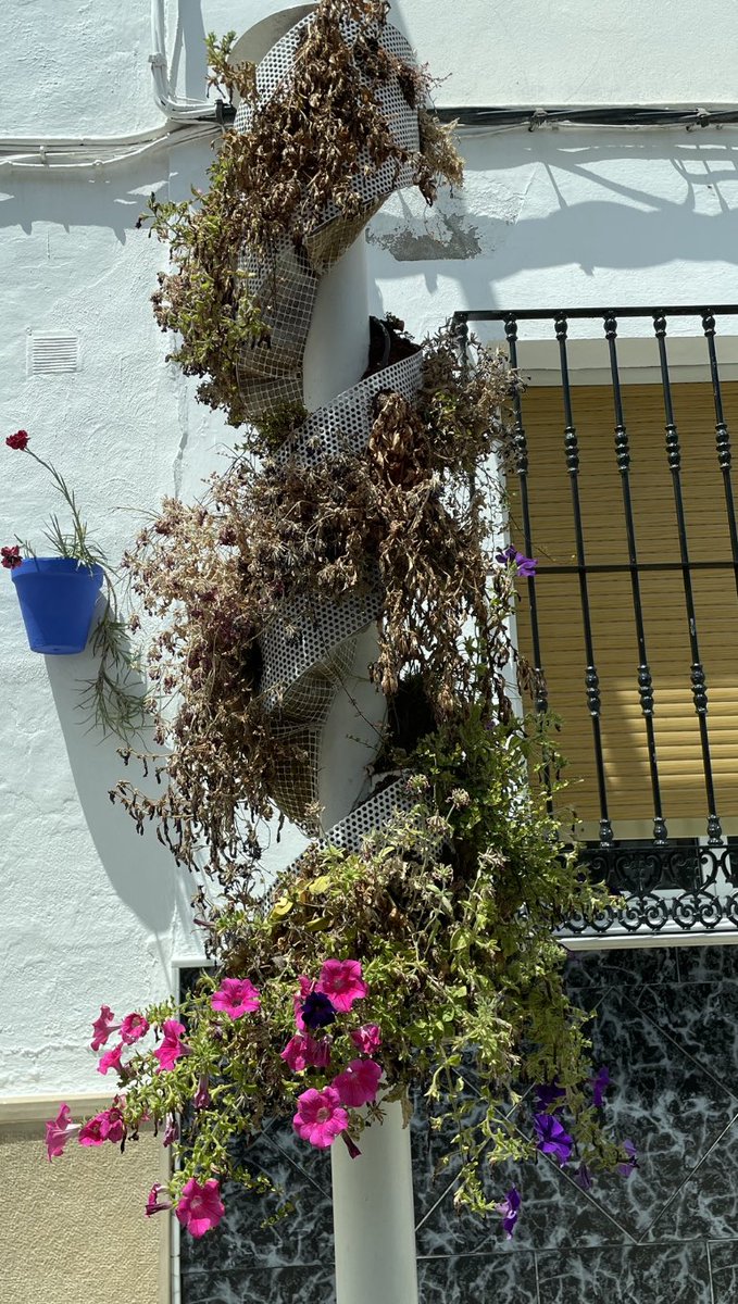 Antonio J. Torralbo tweet media