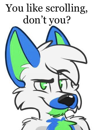 ✨Alpha✨ tweet media