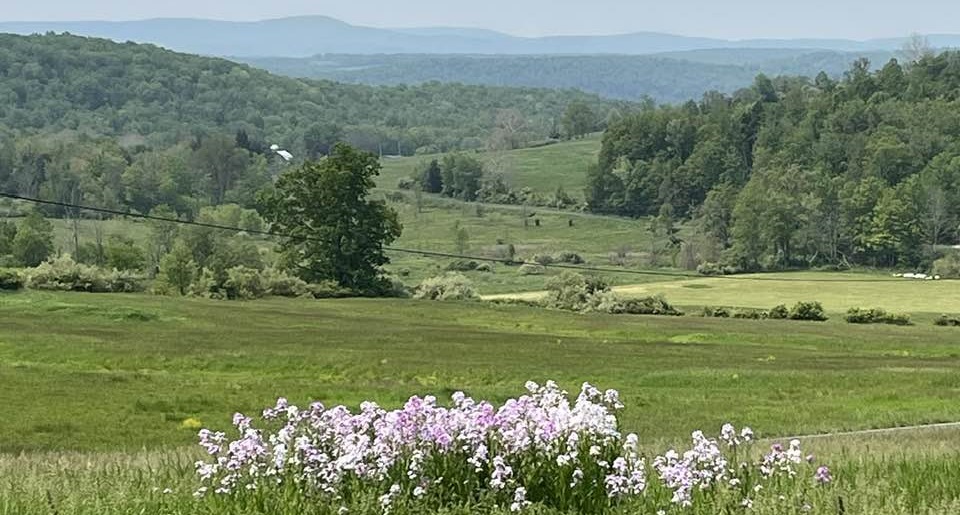 RHiduk's tweet photo. Holiday Weekend Will Start Streak of Summery Weather
https://t.co/ZSJ8hTgCWG
#BradfordCountyPA #SullivanCountyPA #SusquehannaCountyPA #WyomingCountyPA https://t.co/nm3fcLK8cE