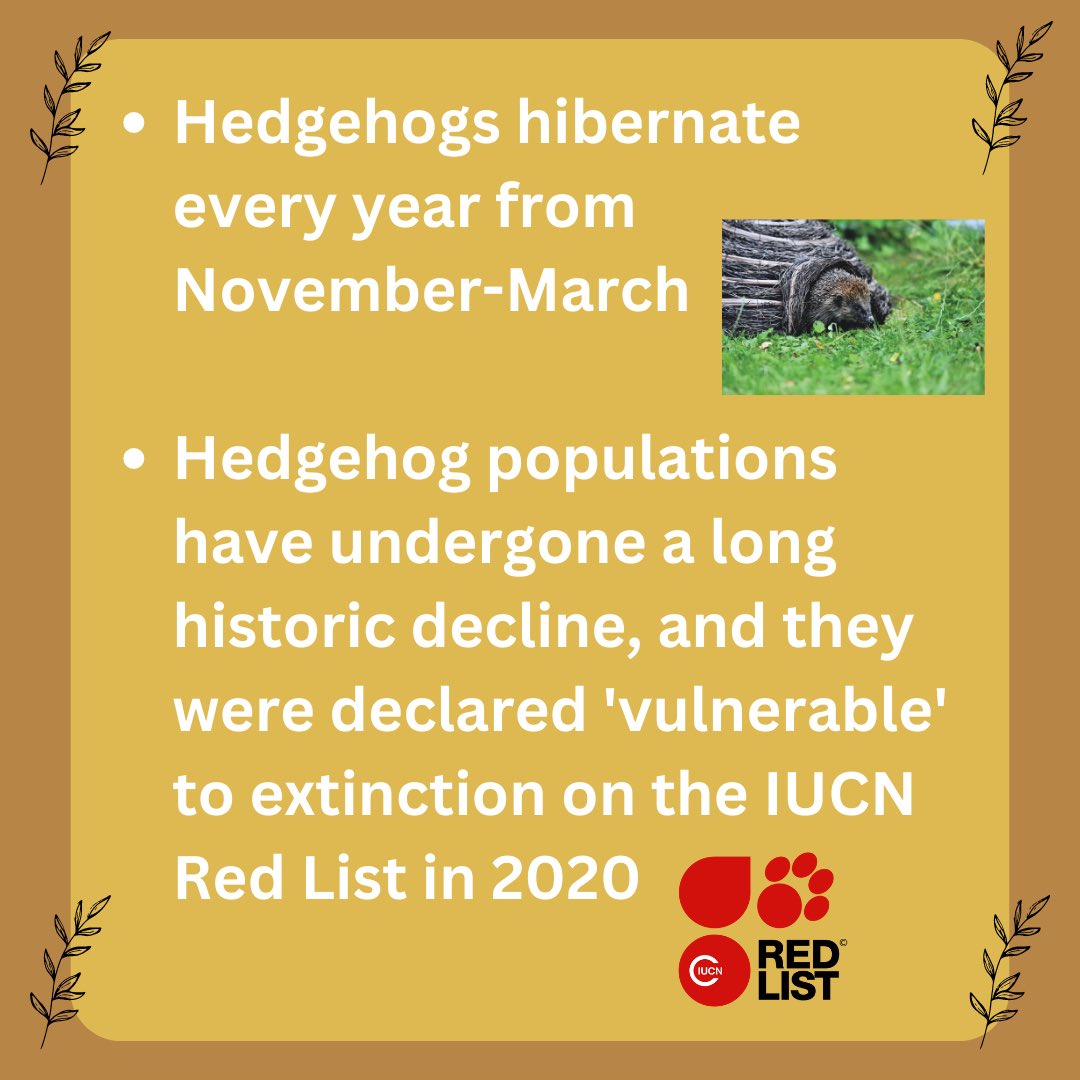 Did you know?

These are some facts that you might not have known about hedgehogs 🦔.

#exeteruniversity
#hedgehogawareness
#hedgehogfacts