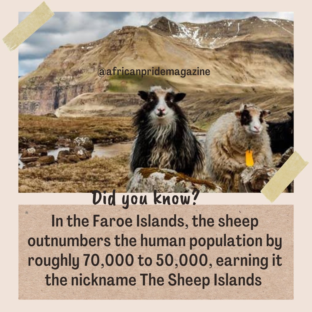 Did you know? 

Learn fun and interesting new facts here on African Pride Magazine

... africanpridemagazine.com/blog/did-you-k… 

#DidYouKnow #Africa #Africanpride #Africanpridemagazine #AfricanPridemagazinefan #Africanprideradio #AfricanPrideTV #danish #Didyouknow #d...