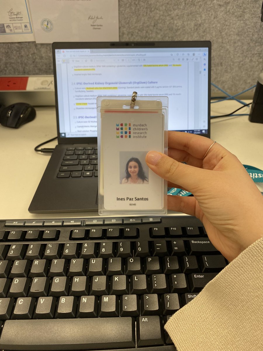 Inês Paz Santos tweet media