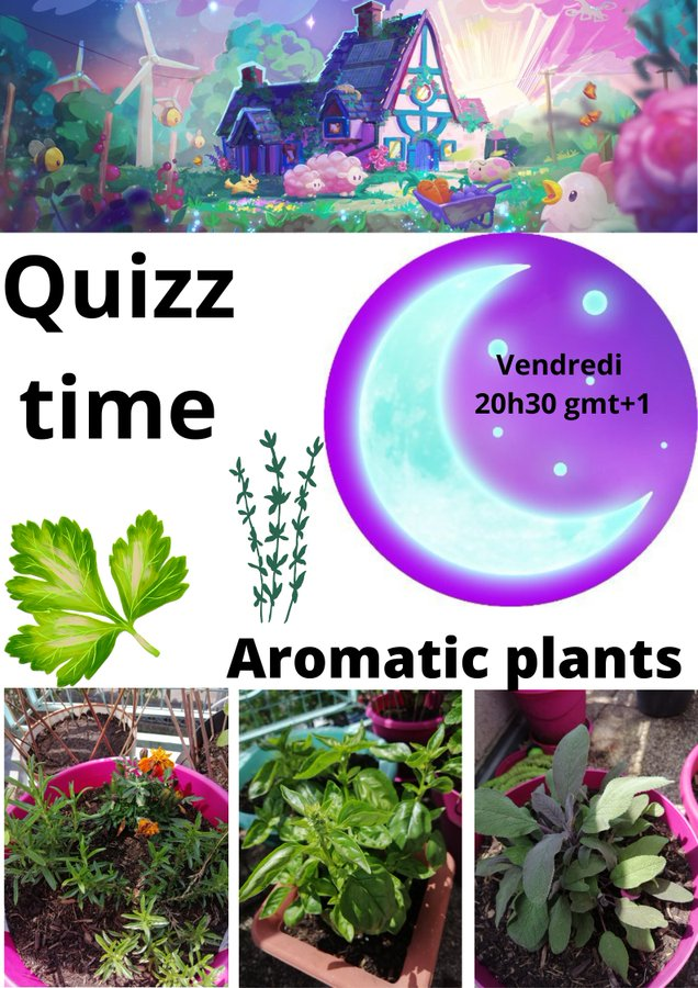 Friday at 8:30 p.m. gmt+1. Come and test your knowledge about the names of aromatic plants  in the general channel of
@MoonfrostGame @JaseTheWizard @CosmoKidxyz
@AvondroodArt @OxalisGames @brullov_art
#pixelart