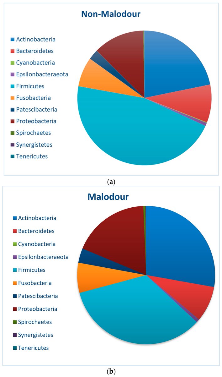 📢 Read our recent publication 

📚 #Polymethylmethacrylate (#PMMA) Hosts #Microbiome Associated with #OralMalodor

🔗 doi.org/10.3390/app130…
👨‍🔬 by Dr. Ofir Rosner et al.
🏫 @TelAvivUni 

#SpecialIssue 🔗 mdpi.com/journal/applsc…
 
#OpenAccess #mdpiapplsci